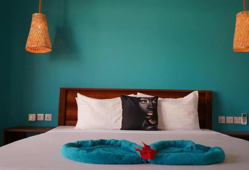 اتاق استاندارد, Kikoi Boutique