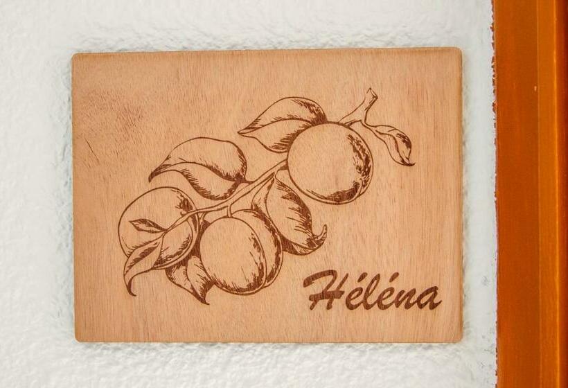 스탠다드 테라스 룸, La Combe Fleurie Appartements & Chambres