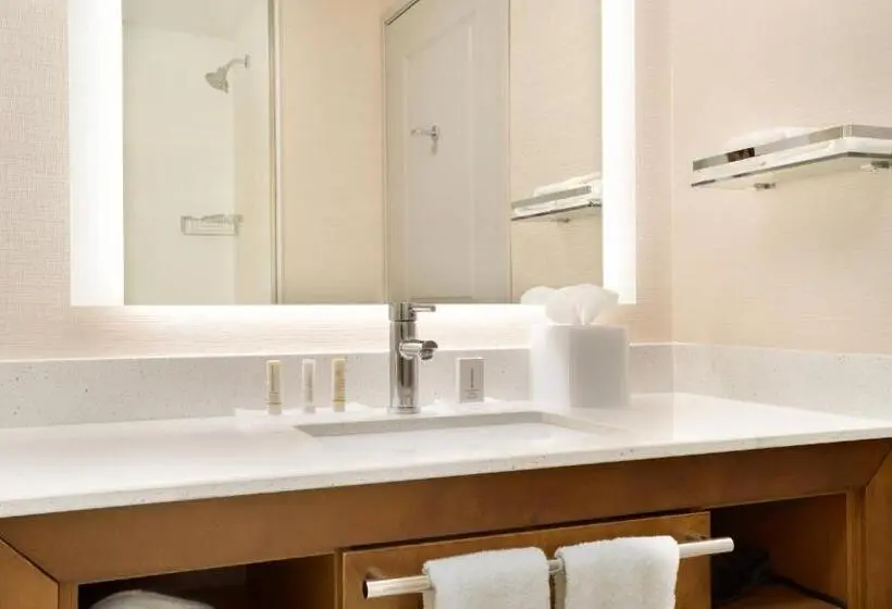 استودیو استاندارد با تخت کینگ, Residence Inn By Marriott Phoenix Chandler/south