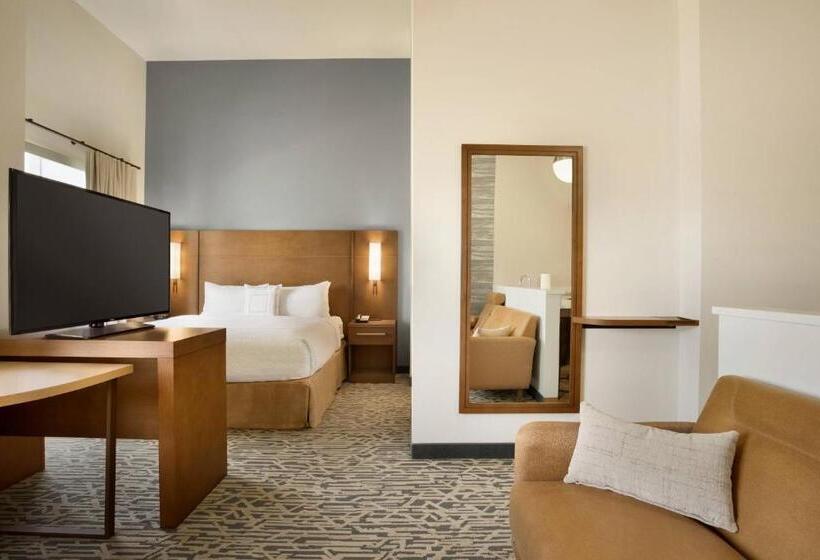 Студио Стандарт с Видом, Residence Inn By Marriott Phoenix Chandler/south