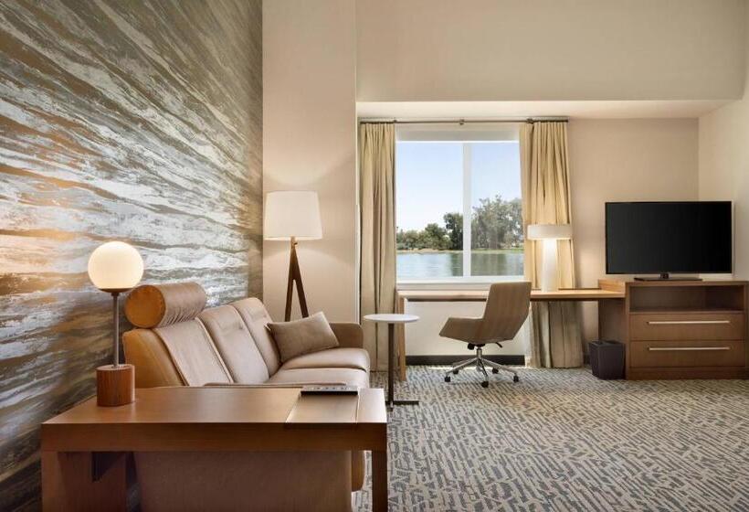 Люкс Кровать Кинг, Residence Inn By Marriott Phoenix Chandler/south