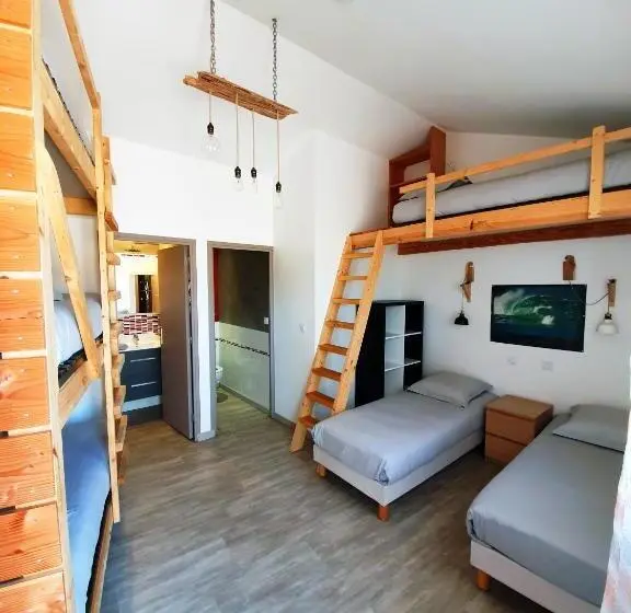ルームシェアのワンベッド, La Maison Bisca