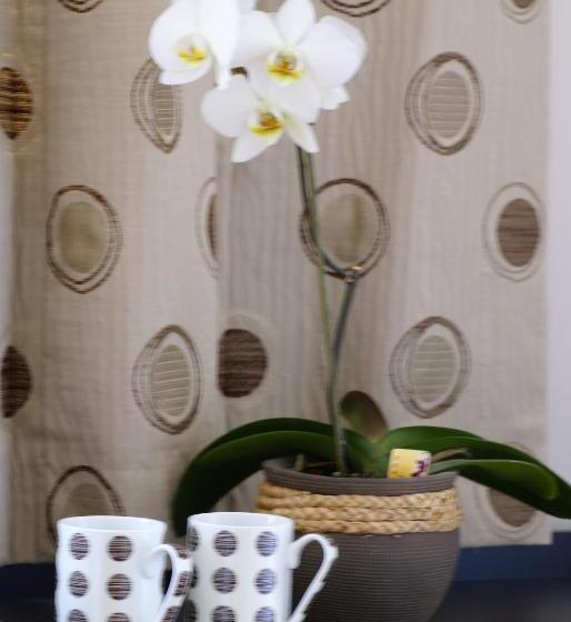 标准单人间, Canal View Bed And Breakfast