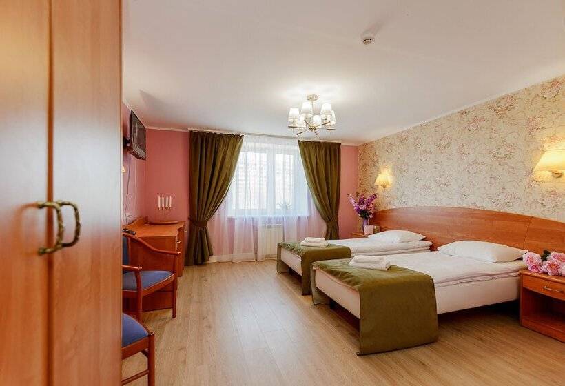 غرفة قياسية, Art Hotel Karelia