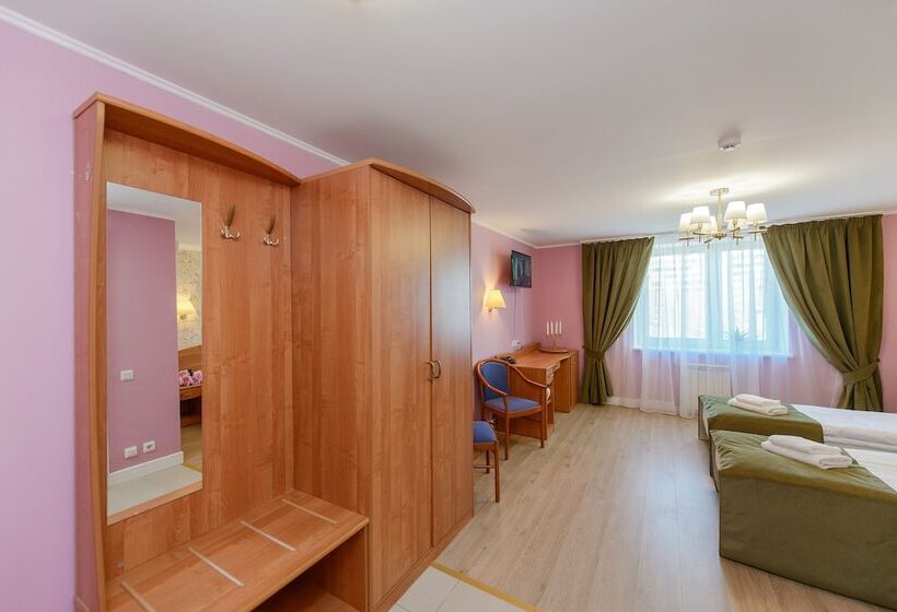 غرفة قياسية, Art Hotel Karelia