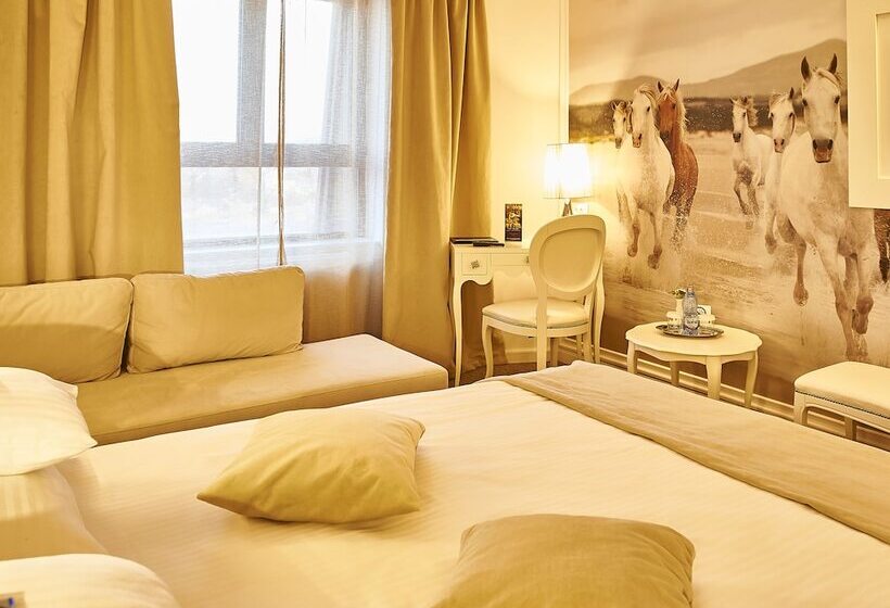 Номер Deluxe, Continental Forum Tirgu Mures