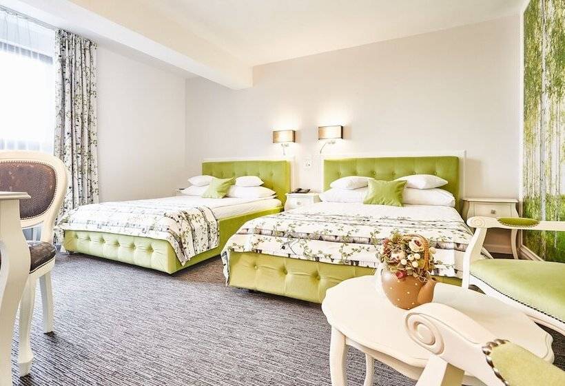 デラックスルーム, Continental Forum Tirgu Mures