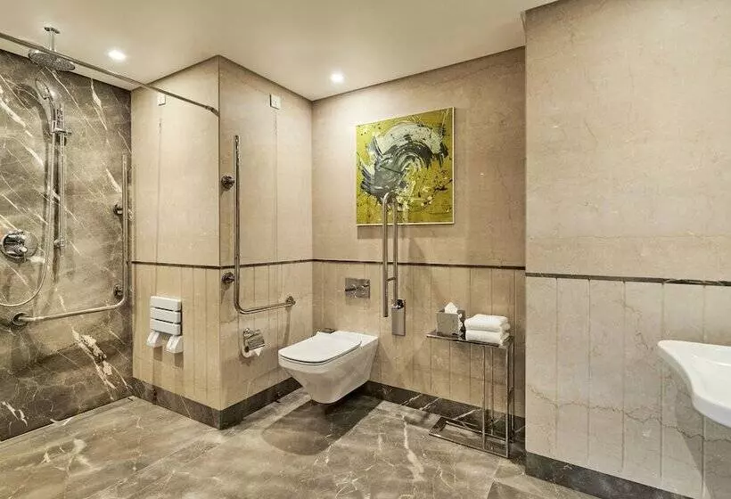 اتاق کلاسیک با تخت دوبل, Intercontinental Athenee Palace Bucharest, An Ihg