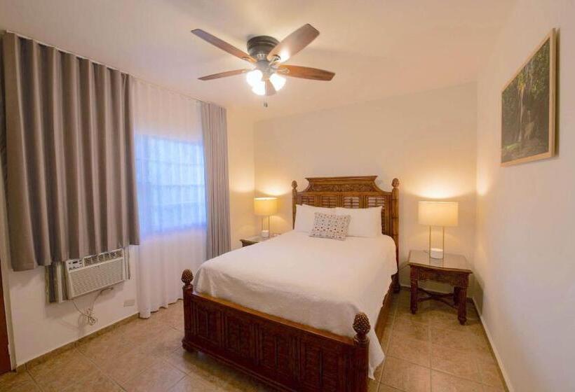 اتاق استاندارد, Lazy Parrot Inn