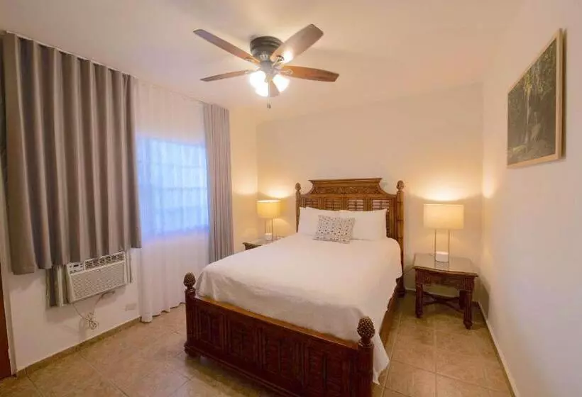 اتاق استاندارد, Lazy Parrot Inn