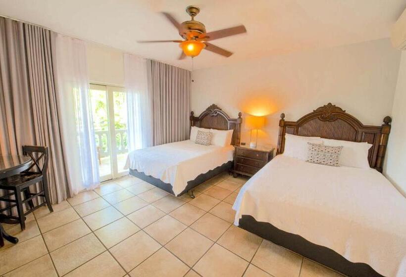 اتاق استاندارد, Lazy Parrot Inn