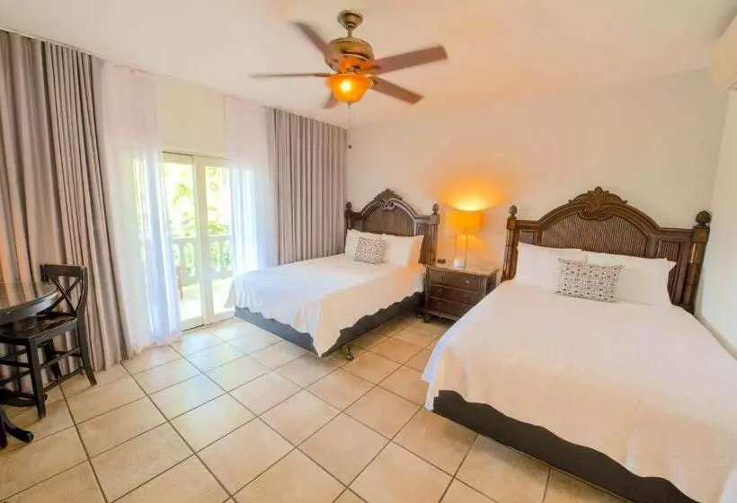 اتاق استاندارد, Lazy Parrot Inn