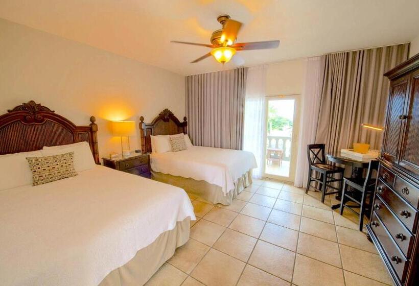 اتاق استاندارد, Lazy Parrot Inn