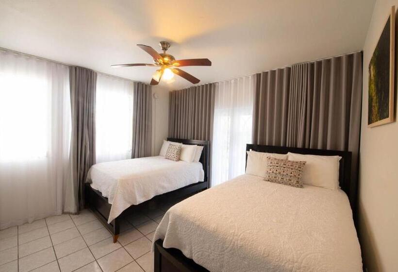 اتاق استاندارد, Lazy Parrot Inn