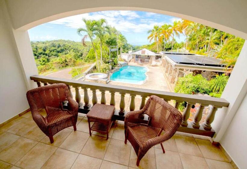 اتاق استاندارد با تخت بزرگ, Lazy Parrot Inn