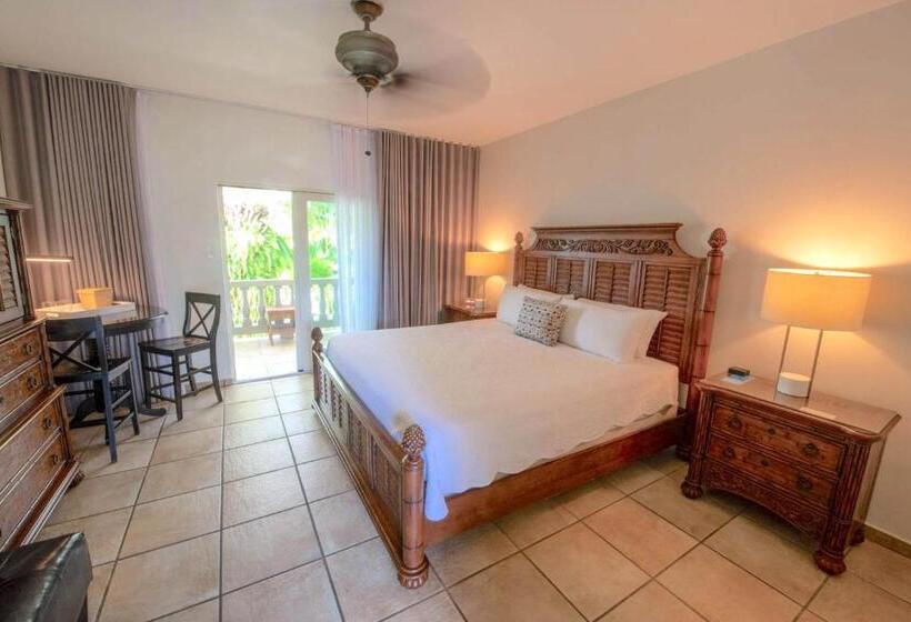 اتاق استاندارد با تخت بزرگ, Lazy Parrot Inn