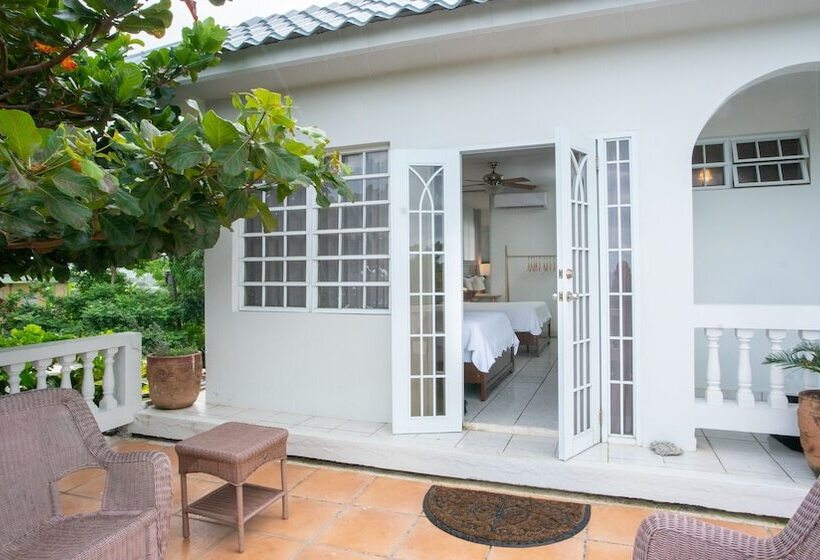 اتاق استاندارد با تراس, Lazy Parrot Inn