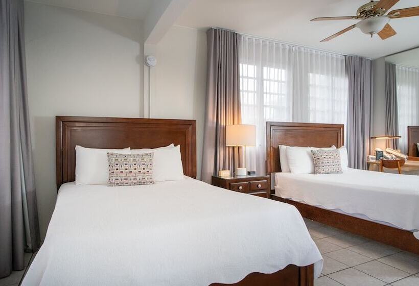 اتاق استاندارد با تراس, Lazy Parrot Inn