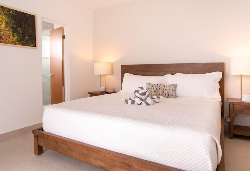 اتاق استاندارد, Lazy Parrot Inn