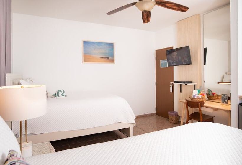 اتاق استاندارد, Lazy Parrot Inn