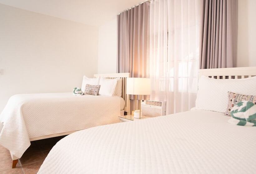 اتاق استاندارد, Lazy Parrot Inn