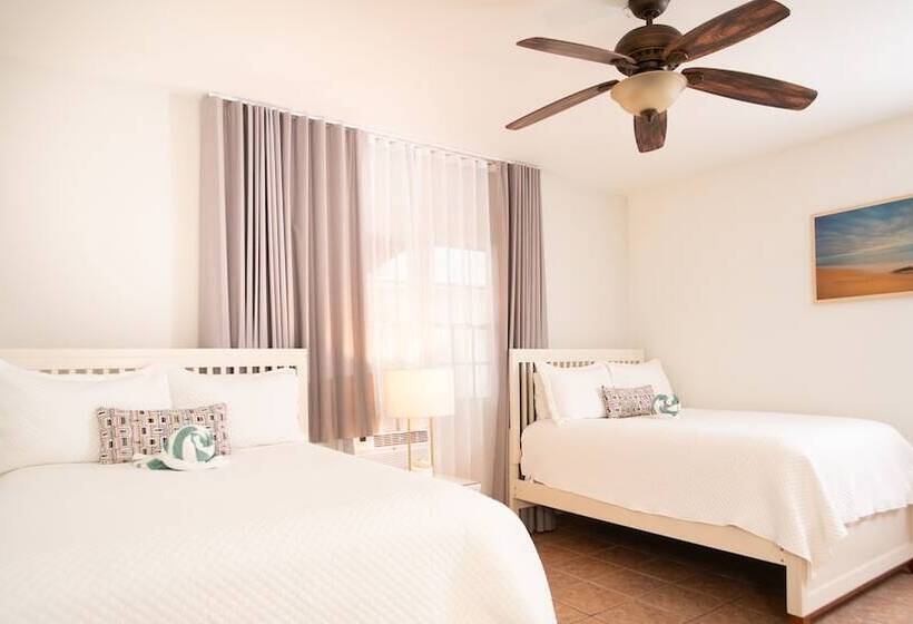 اتاق استاندارد, Lazy Parrot Inn