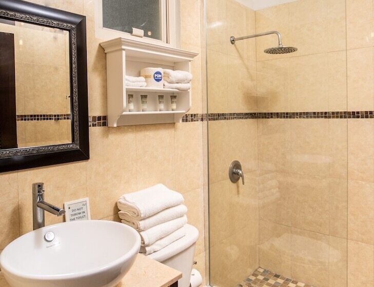 اتاق استاندارد با تخت بزرگ, Lazy Parrot Inn