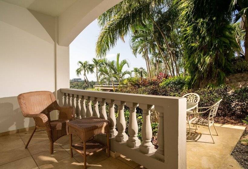 اتاق استاندارد با تخت بزرگ, Lazy Parrot Inn