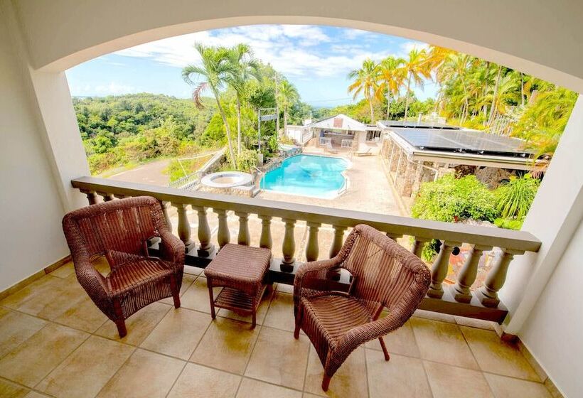 اتاق استاندارد با تخت بزرگ, Lazy Parrot Inn