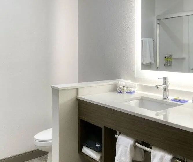 スイート, Holiday Inn Express & Suites   Omaha Downtown   Airport, An Ihg