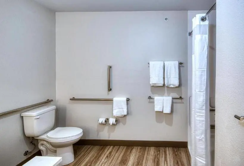 キングサイズベッドのスイートルーム, Holiday Inn Express & Suites   Omaha Downtown   Airport, An Ihg