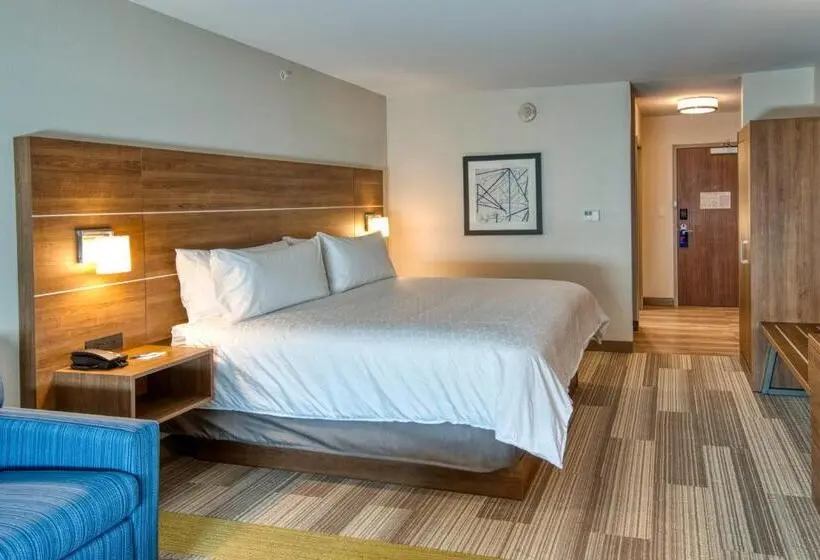 身障者適用キングサイズベッドルーム, Holiday Inn Express & Suites   Omaha Downtown   Airport, An Ihg