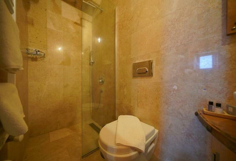 غرفة إقتصادية, Maya Cave