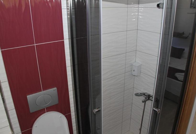 اتاق استاندارد سه نفره, Aelbistan Otel