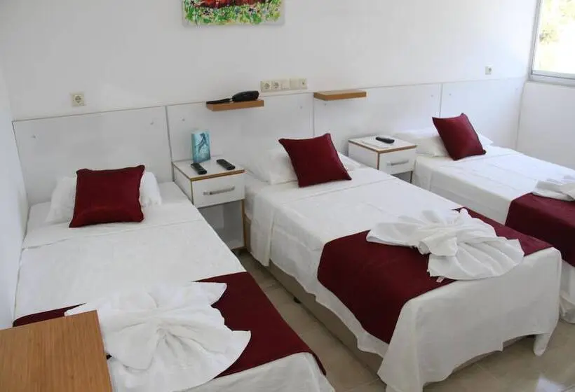Standard Kolmen Hengen Huone, Aelbistan Otel
