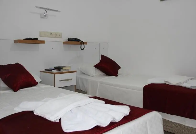 Standard-huone, Aelbistan Otel