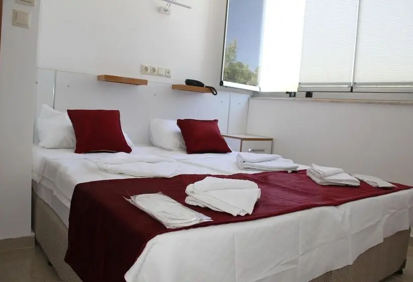 Standard-huone, Aelbistan Otel