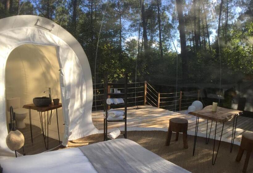 Номер Deluxe, Les Bulles De Bordeaux