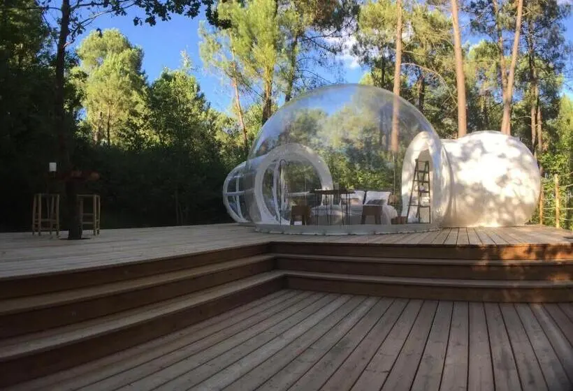 Deluxe-huone, Les Bulles De Bordeaux