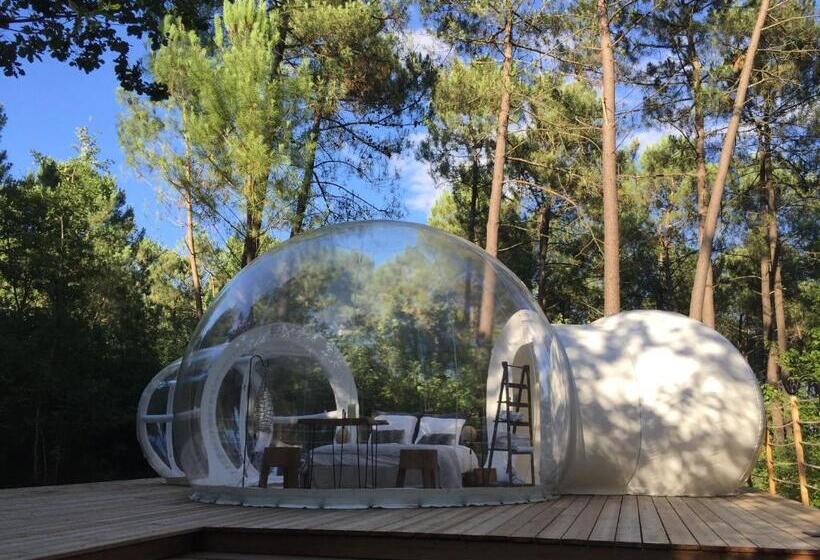 غرفة ديلوكس, Les Bulles De Bordeaux