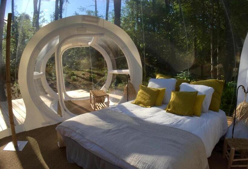 غرفة ديلوكس, Les Bulles De Bordeaux