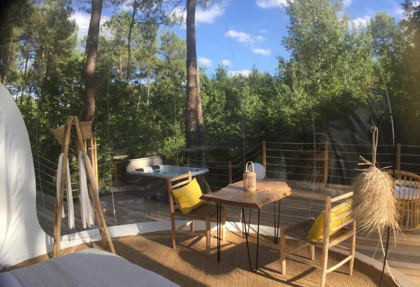 غرفة ديلوكس, Les Bulles De Bordeaux