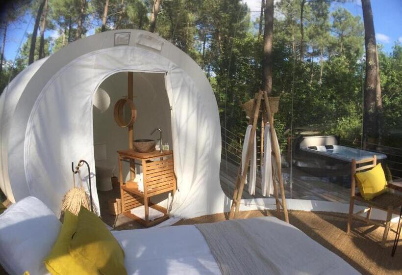 غرفة ديلوكس, Les Bulles De Bordeaux