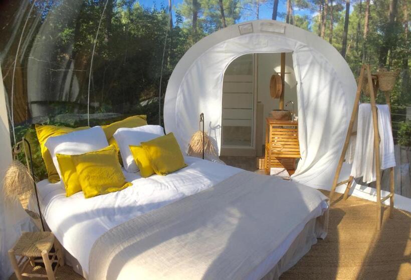 Номер Deluxe, Les Bulles De Bordeaux