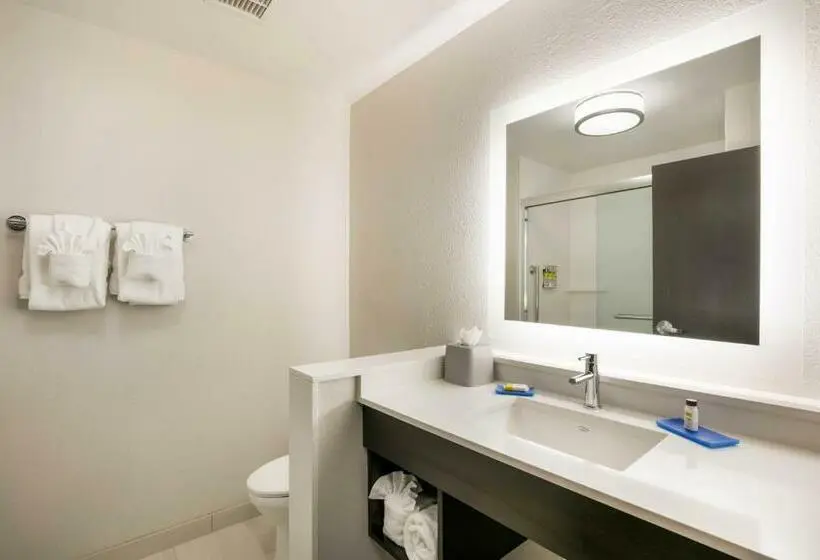 キングサイズベッドのスイートルーム, Holiday Inn Express & Suites Jacksonville   Town Center, An Ihg