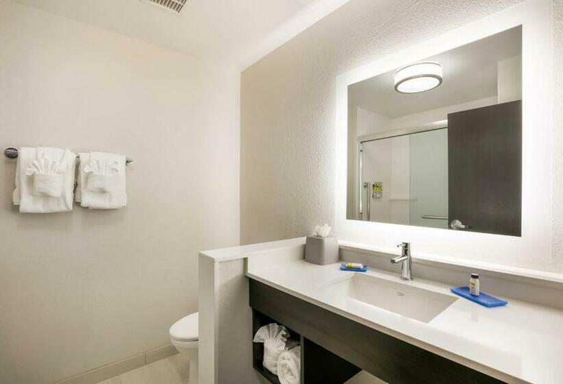 适合残疾人士使用的套间, Holiday Inn Express & Suites Jacksonville Town Center, An Ihg