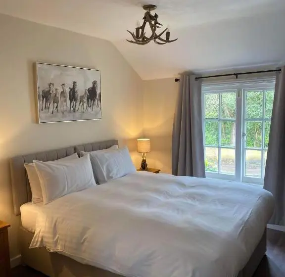 キングサイズベッドのスーペリアルーム, The New Forest Inn