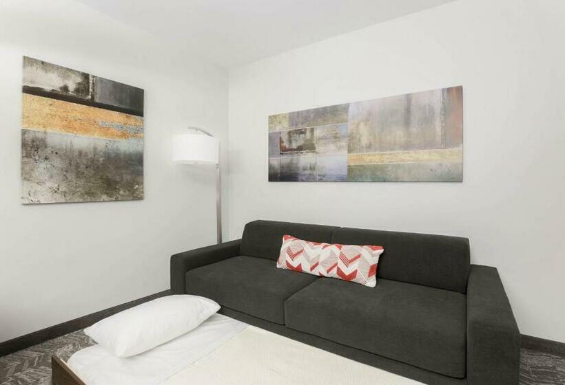 סוויטה, Springhill Suites By Marriott Auburn