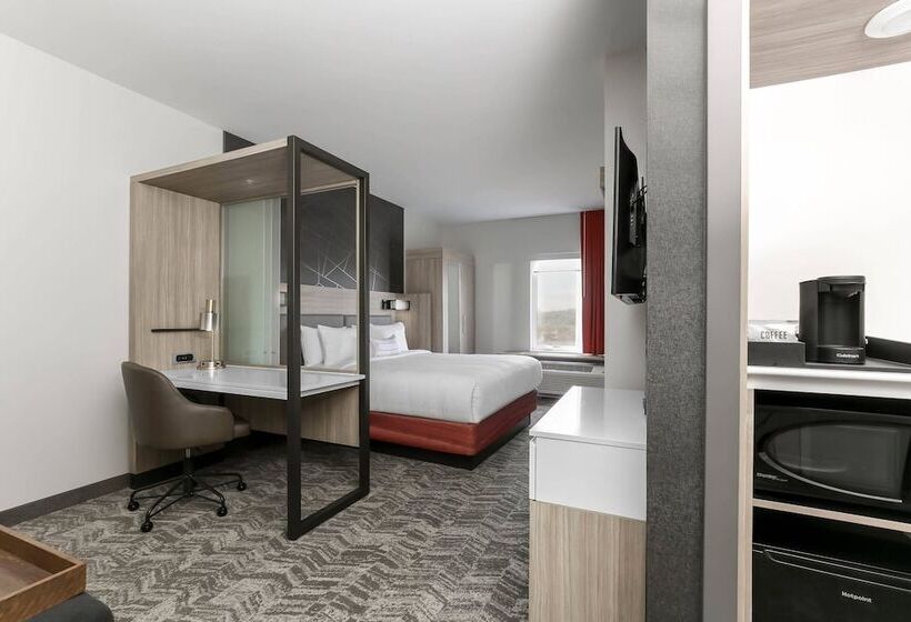 סוויטה, Springhill Suites By Marriott Auburn