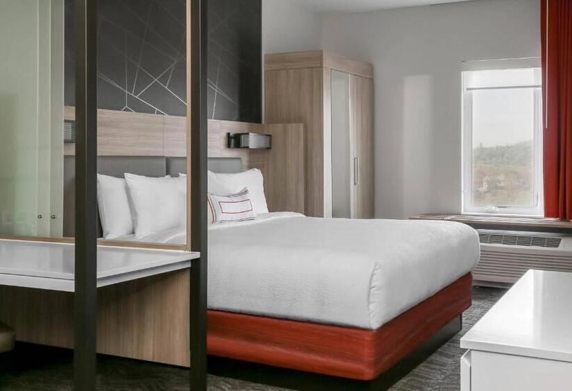 מיטת קינג בסוויטה, Springhill Suites By Marriott Auburn